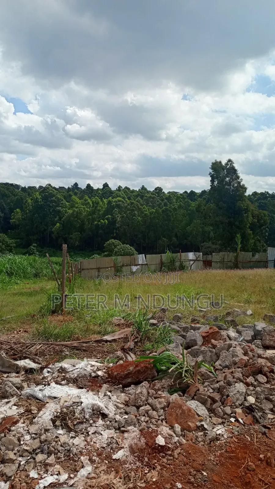 Muthithi-Njathaini Rd, Valley View Estate Opposite Kist, 1/2 Acre in Thindigua/Kasarini