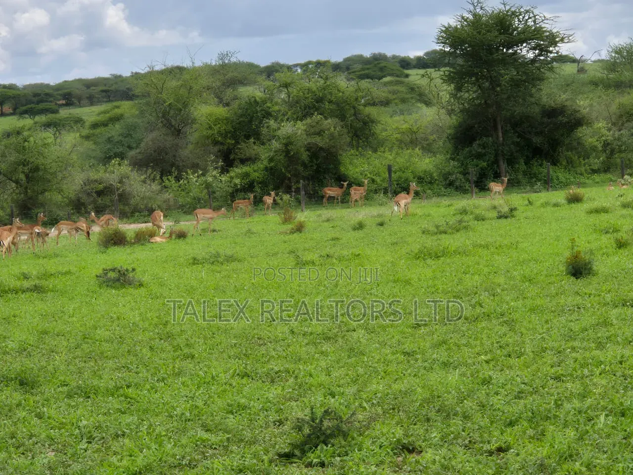 540-Acre Turnkey Ranch Agribusiness Estate – Bisil, Kajiado in Bisil