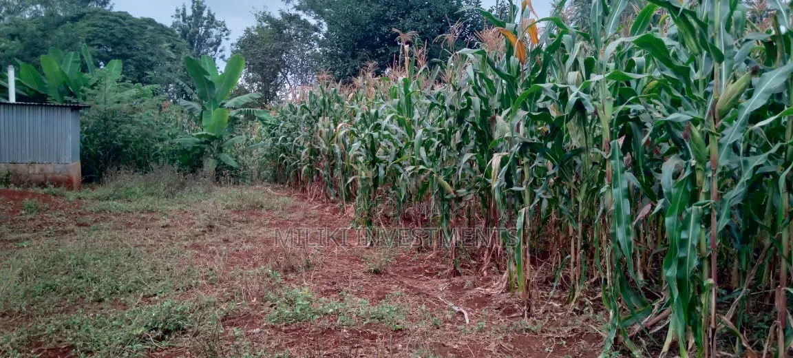 2 Acres in Sale at Muri -Kirinyaga in Kerugoya