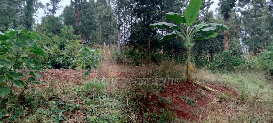 2 Acres in Sale at Muri -Kirinyaga in Kerugoya