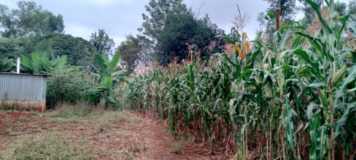2 Acres in Sale at Muri -Kirinyaga in Kerugoya