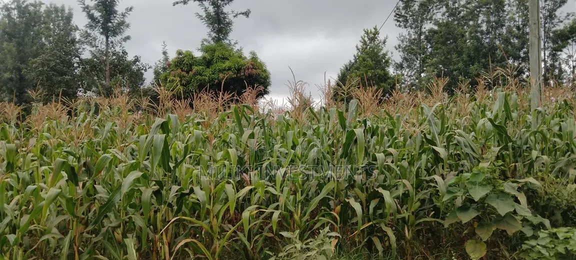 2 Acres in Sale at Muri -Kirinyaga in Kerugoya