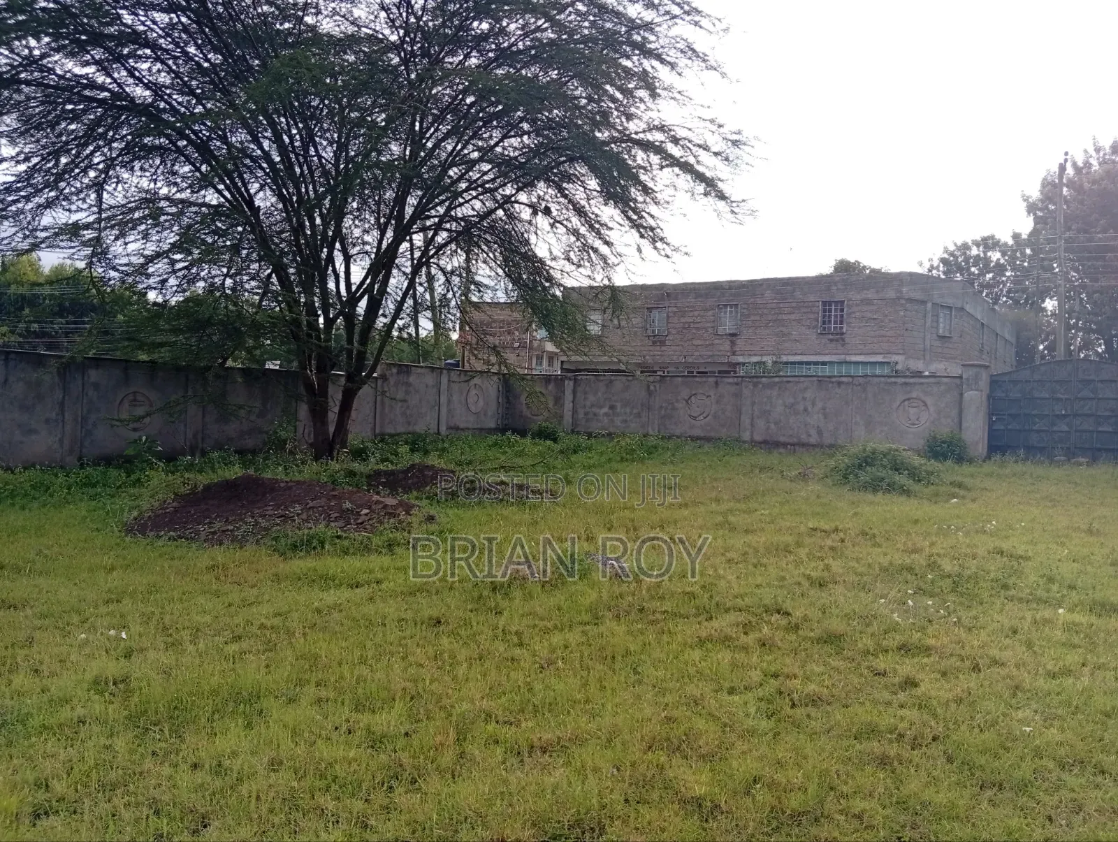 Prime Land in Karen in Hardy