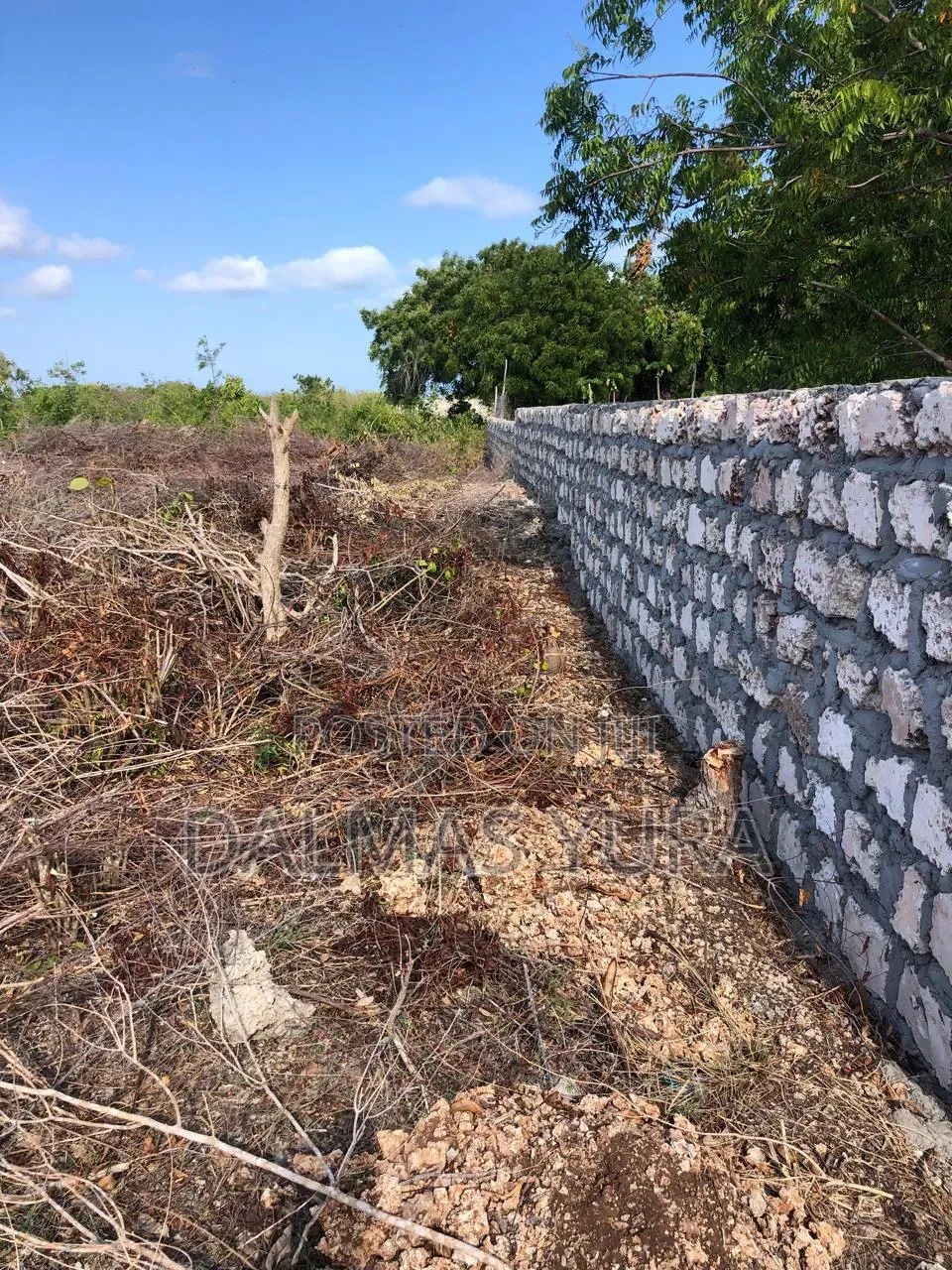 A Quarter an Acre Land in Watamu in Watamu