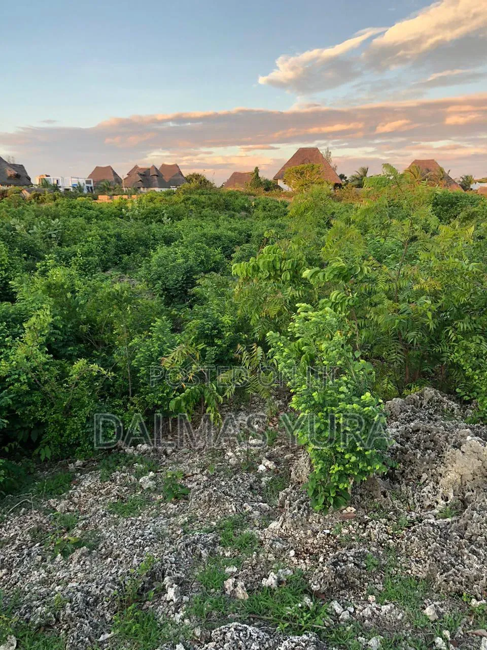 A Quarter an Acre Land in Watamu in Watamu