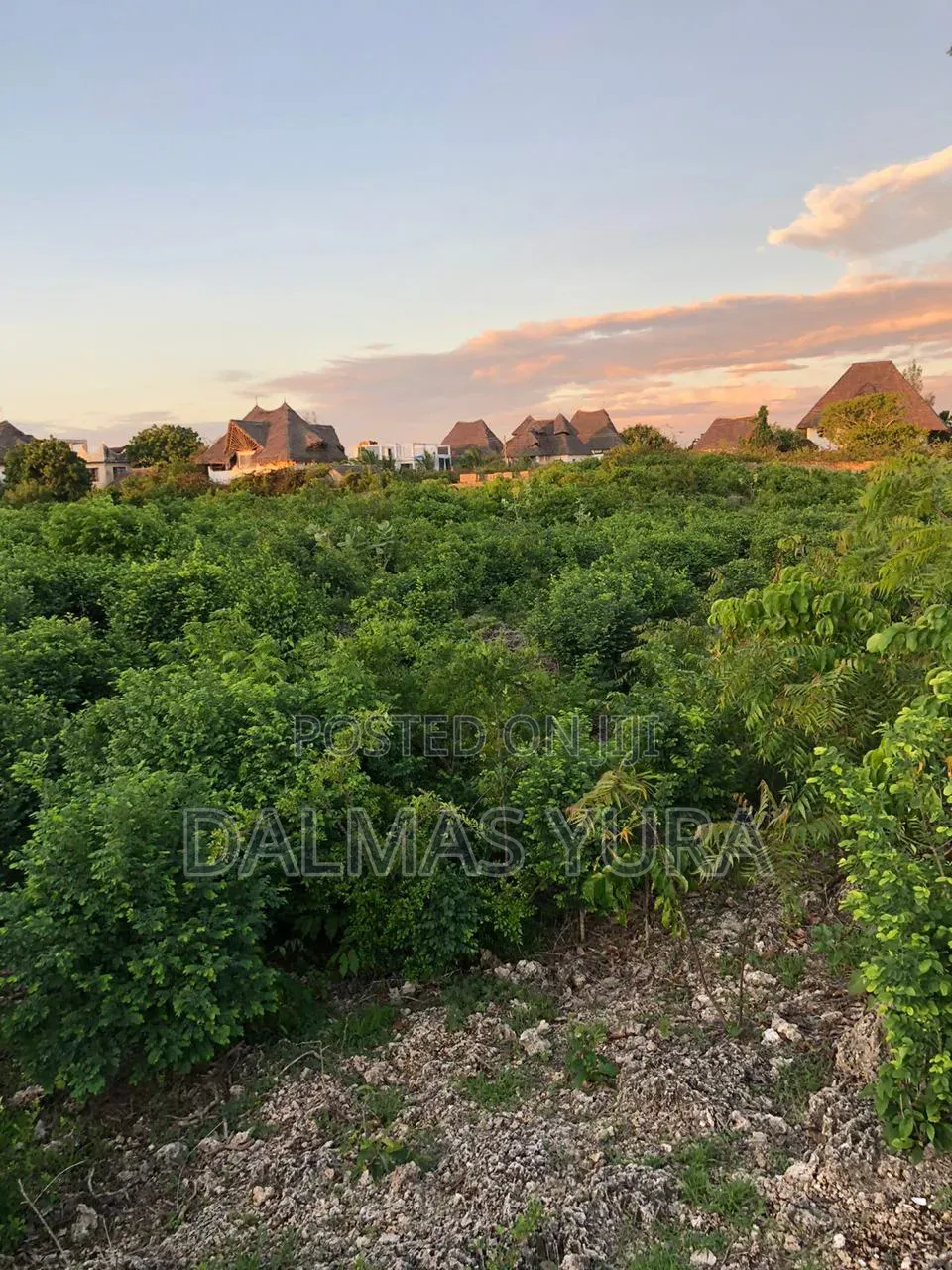 A Quarter an Acre Land in Watamu in Watamu