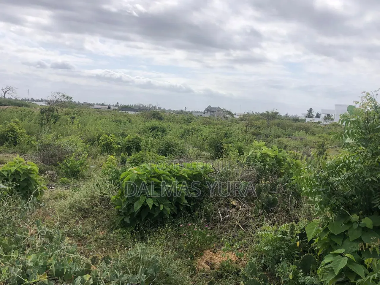 A Quarter an Acre Land in Watamu in Watamu