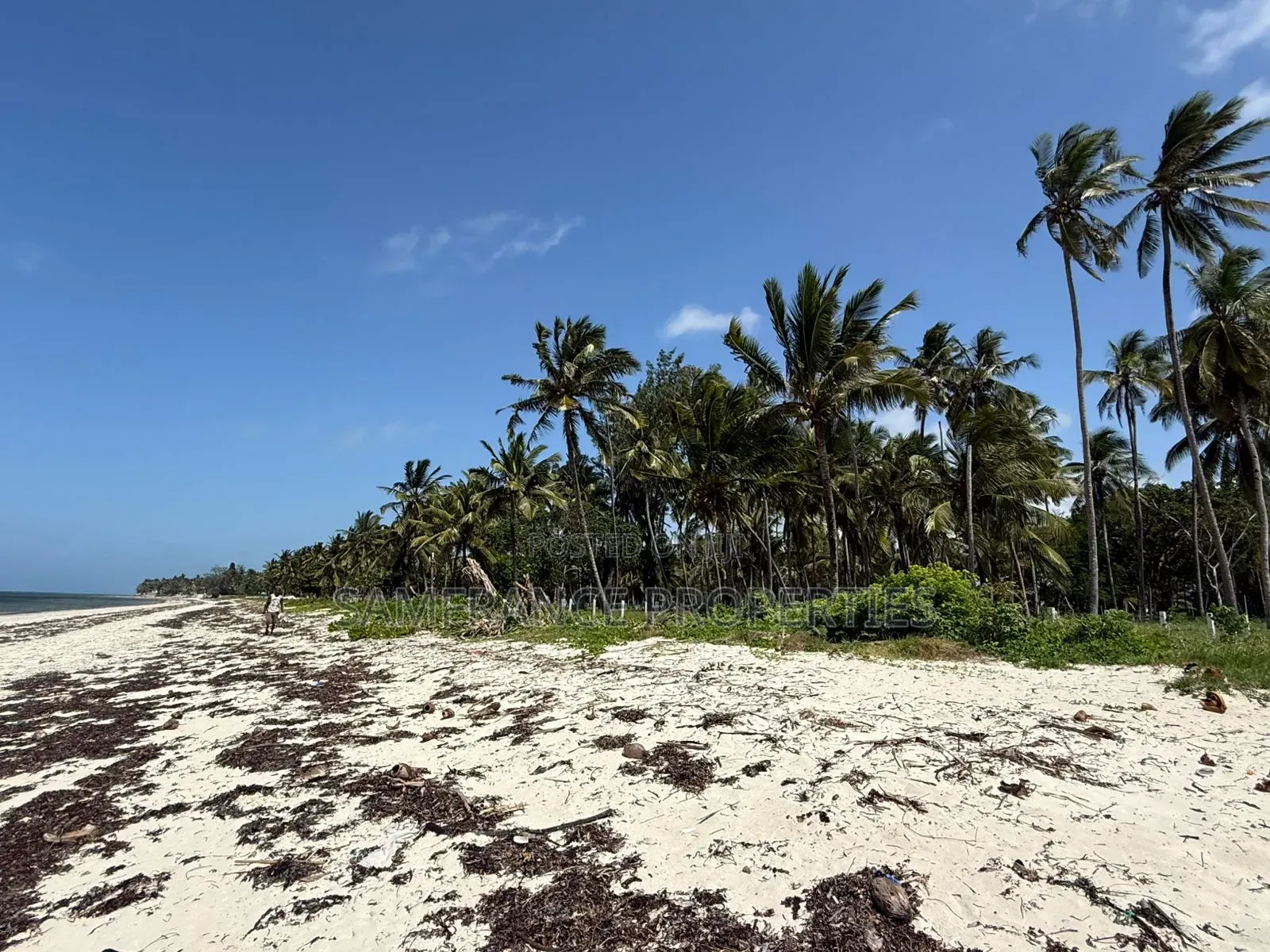 Serviced Beachfront Plots Kikambala in Mtwapa
