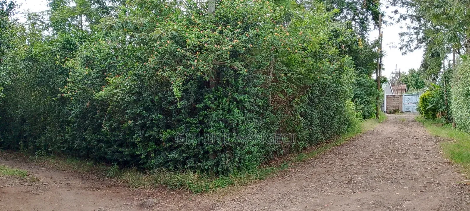Prime Plot for Sale in Ngong Vet  in Ole Polos