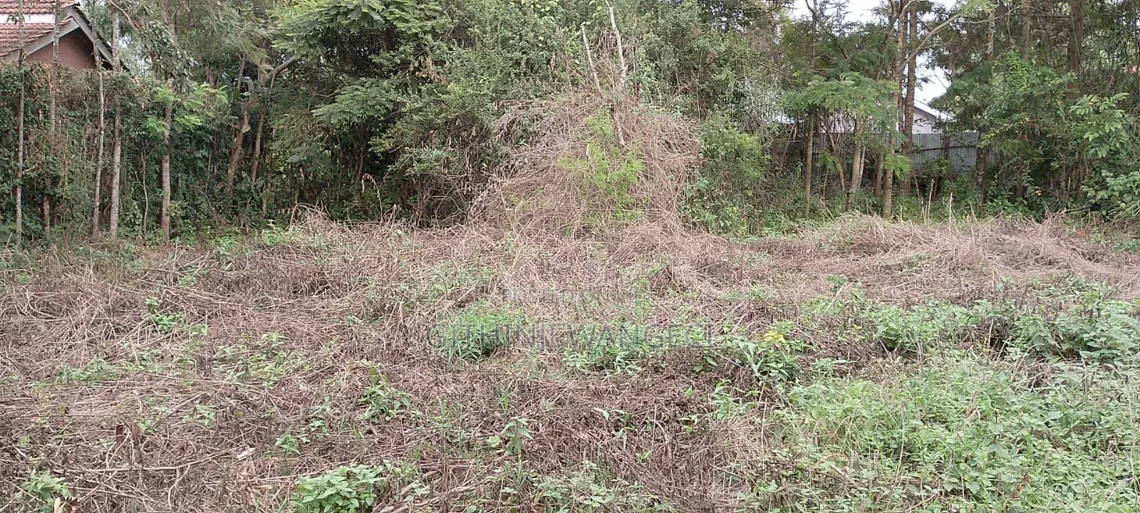 Prime Plot for Sale in Ngong Vet  in Ole Polos