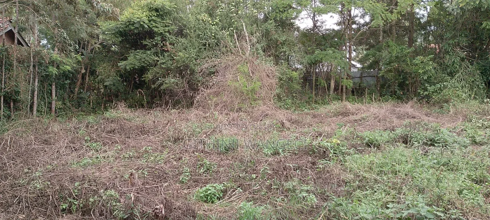 Prime Plot for Sale in Ngong Vet  in Ole Polos