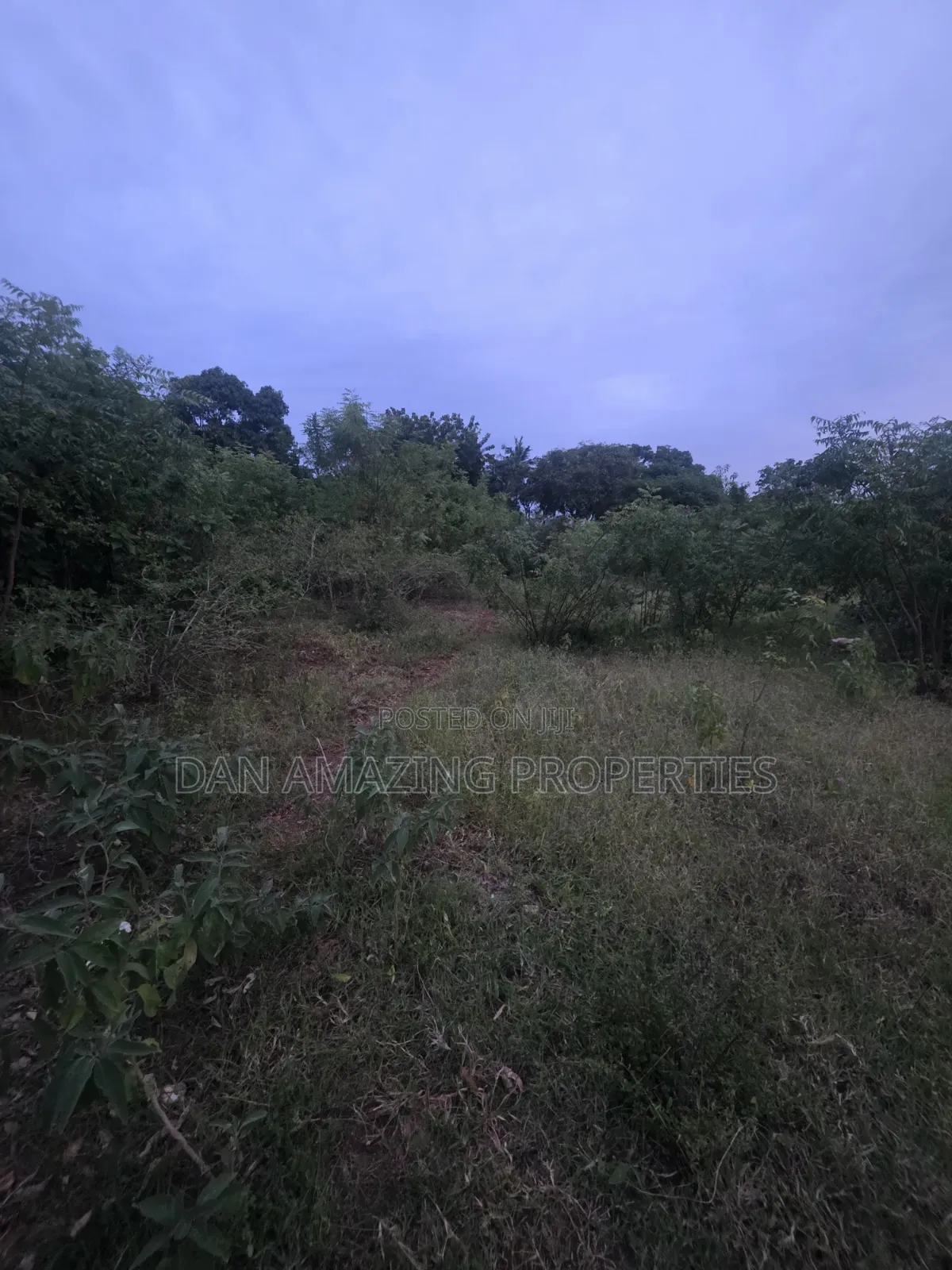 Half an Acre in Diani Lofta Road for Sale Touching Tarmac in Diani