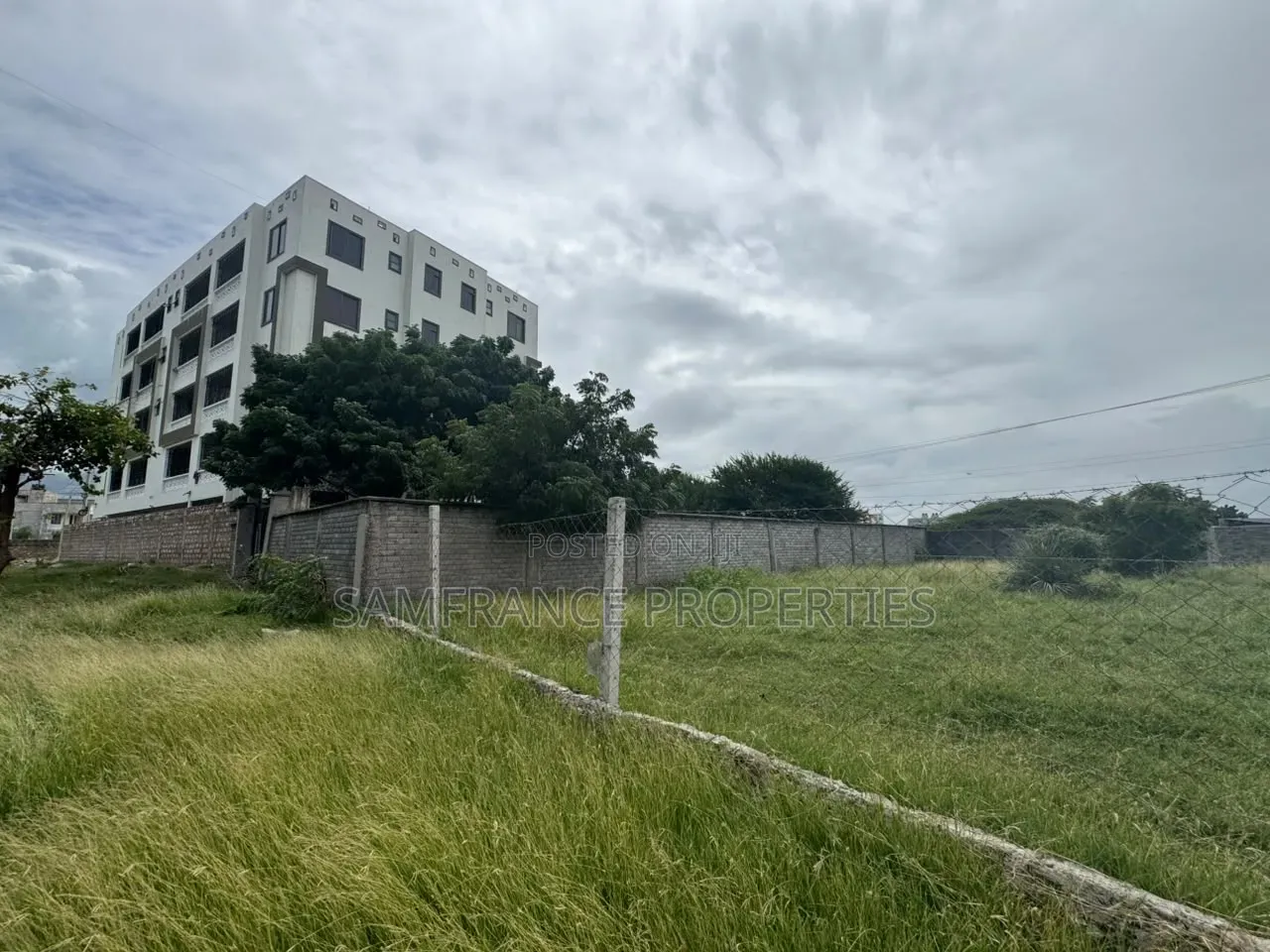 Prime Plot Utange in Utange