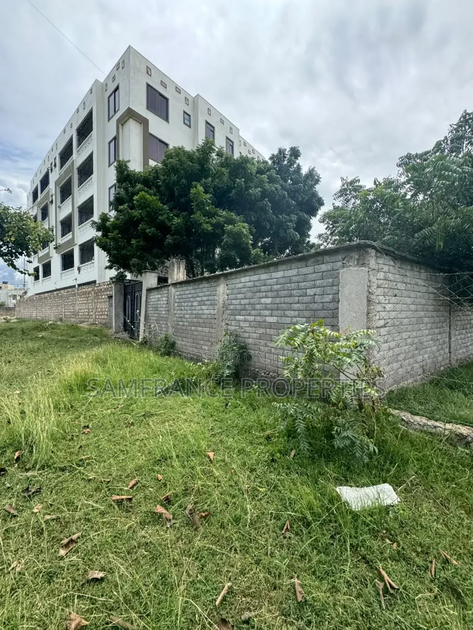 Prime Plot Utange in Utange