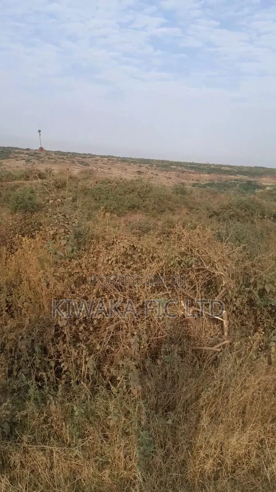 100 Acres Fronting Juja Farm Road for Sale in Kalimoni