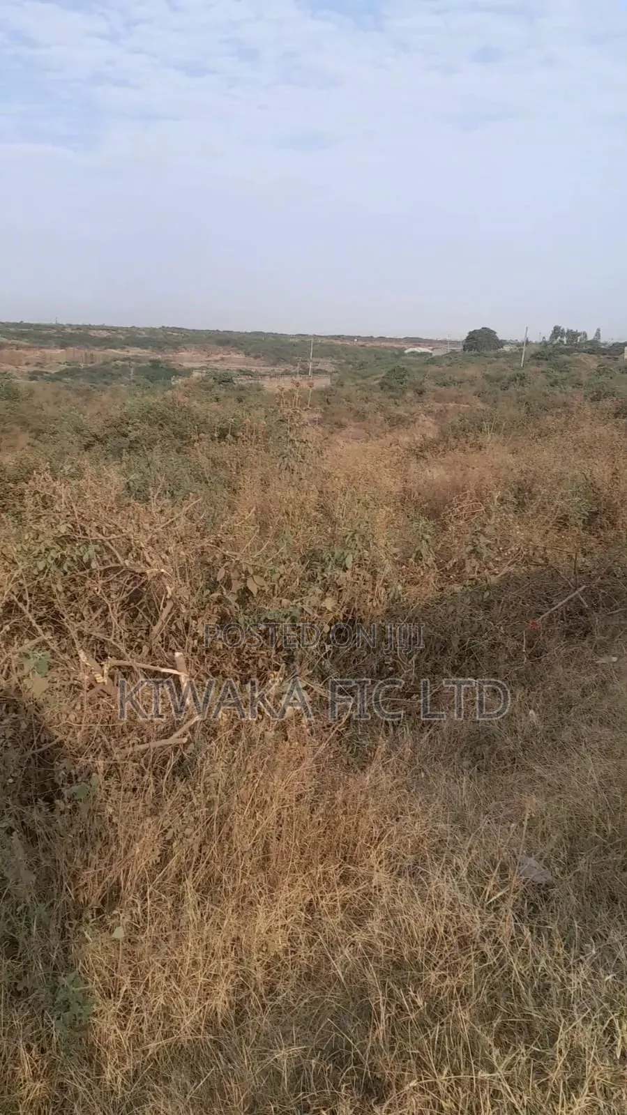 100 Acres Fronting Juja Farm Road for Sale in Kalimoni
