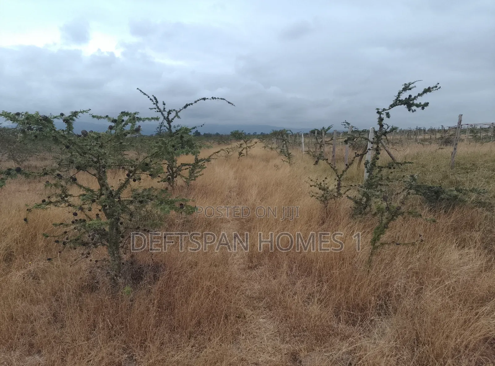 50 by 100 Plot Selling at Kantafu 3.5km in Kangundo Central