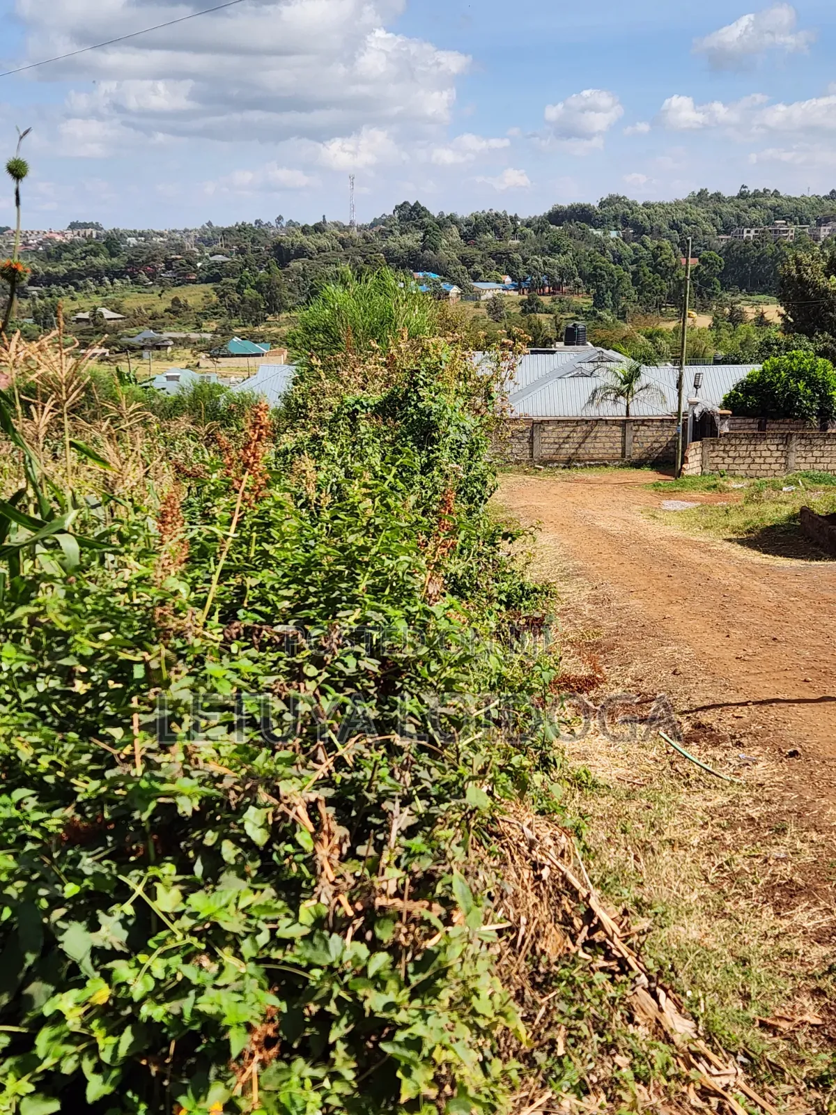 1⁄8 1⁄4 Acres Ngong-Kibiko (Arusha Close) in Kibiku