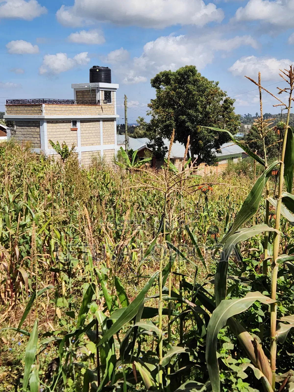 1⁄8 1⁄4 Acres Ngong-Kibiko (Arusha Close) in Kibiku