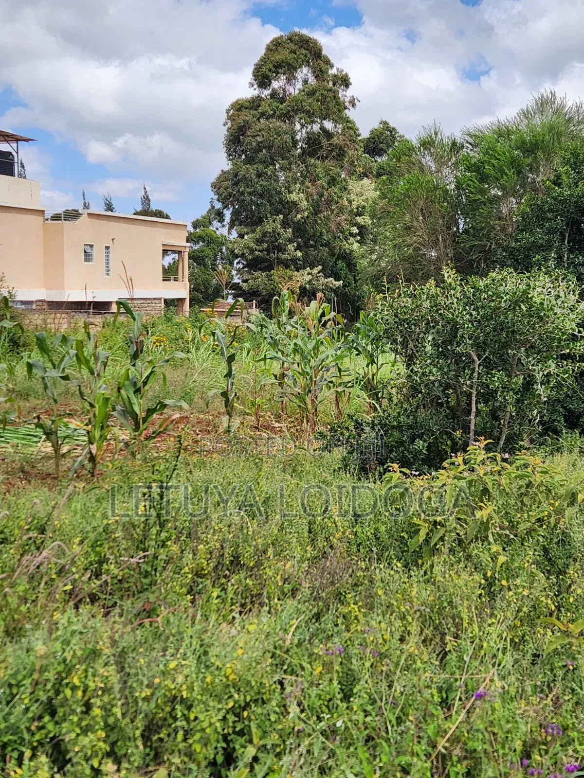 1 1⁄4 Acre Ngong-Kibiko(Baboon Crescent) in Kibiku