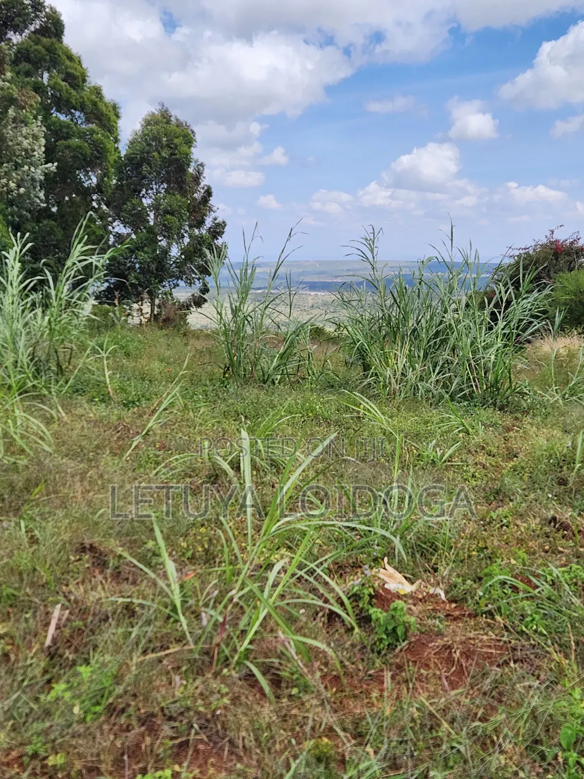 1 1⁄4 Acre Ngong-Kibiko(Baboon Crescent) in Kibiku