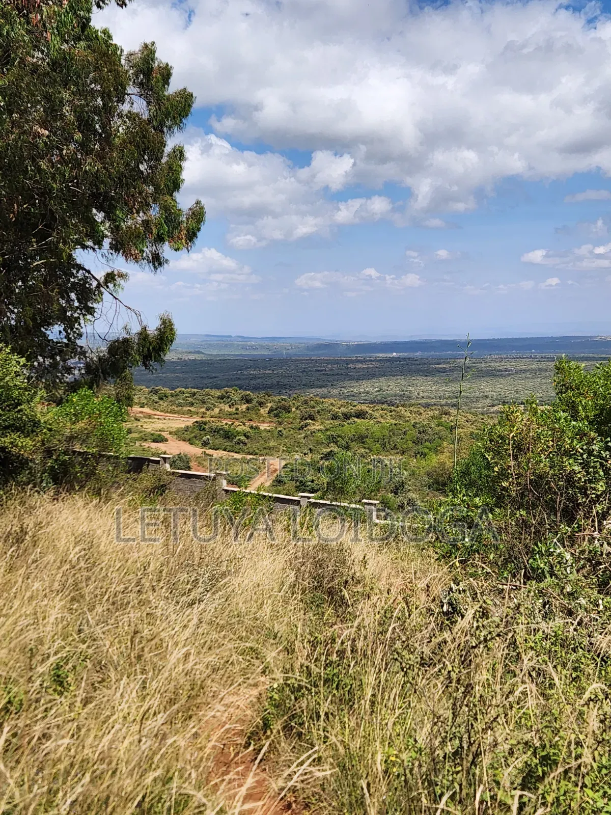 1 1⁄4 Acre Ngong-Kibiko(Baboon Crescent) in Kibiku