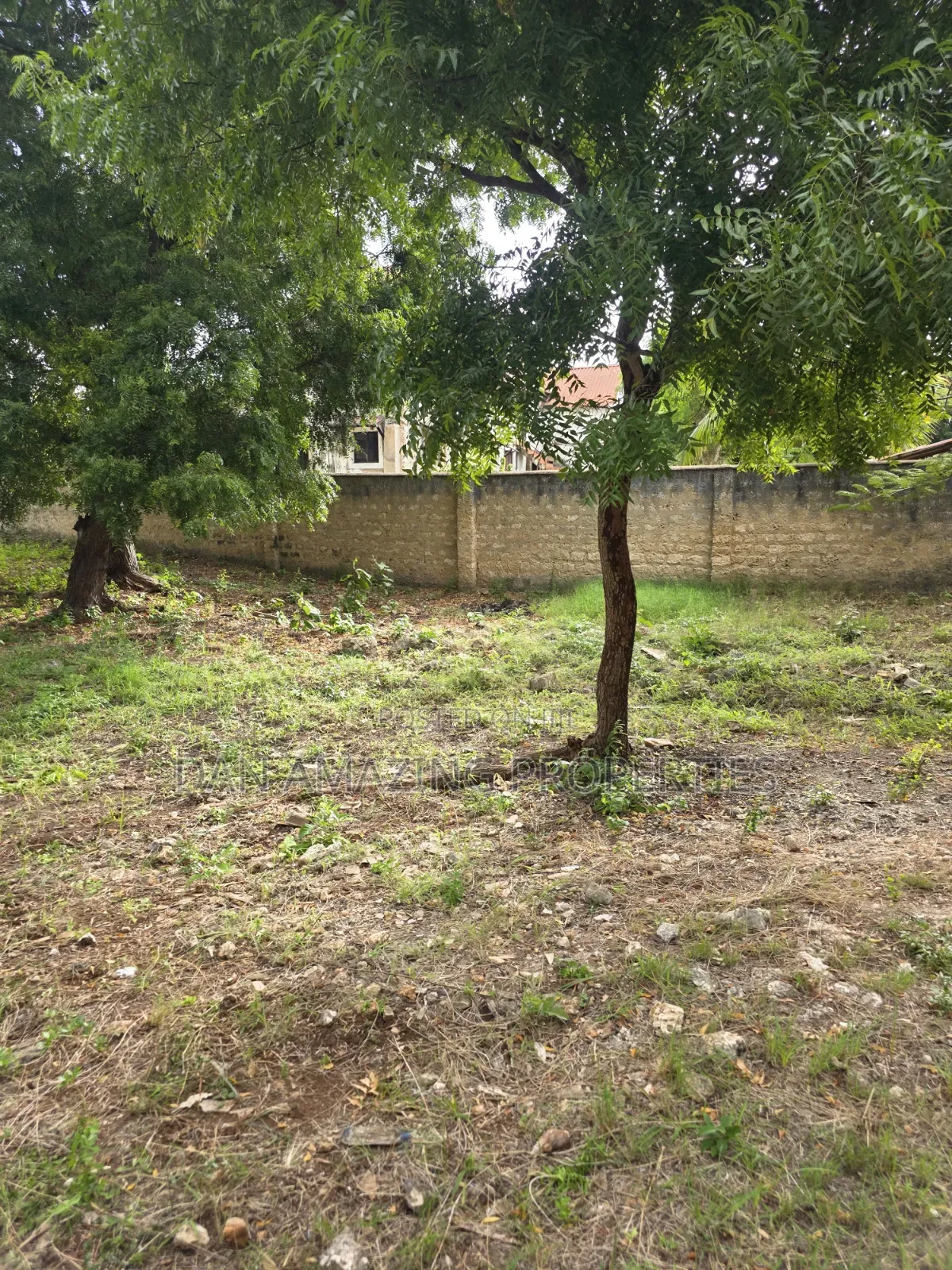 1/4 and 1/8 Plot Diani Chandarana for Sale Fully Fenced With Perimeter in Diani