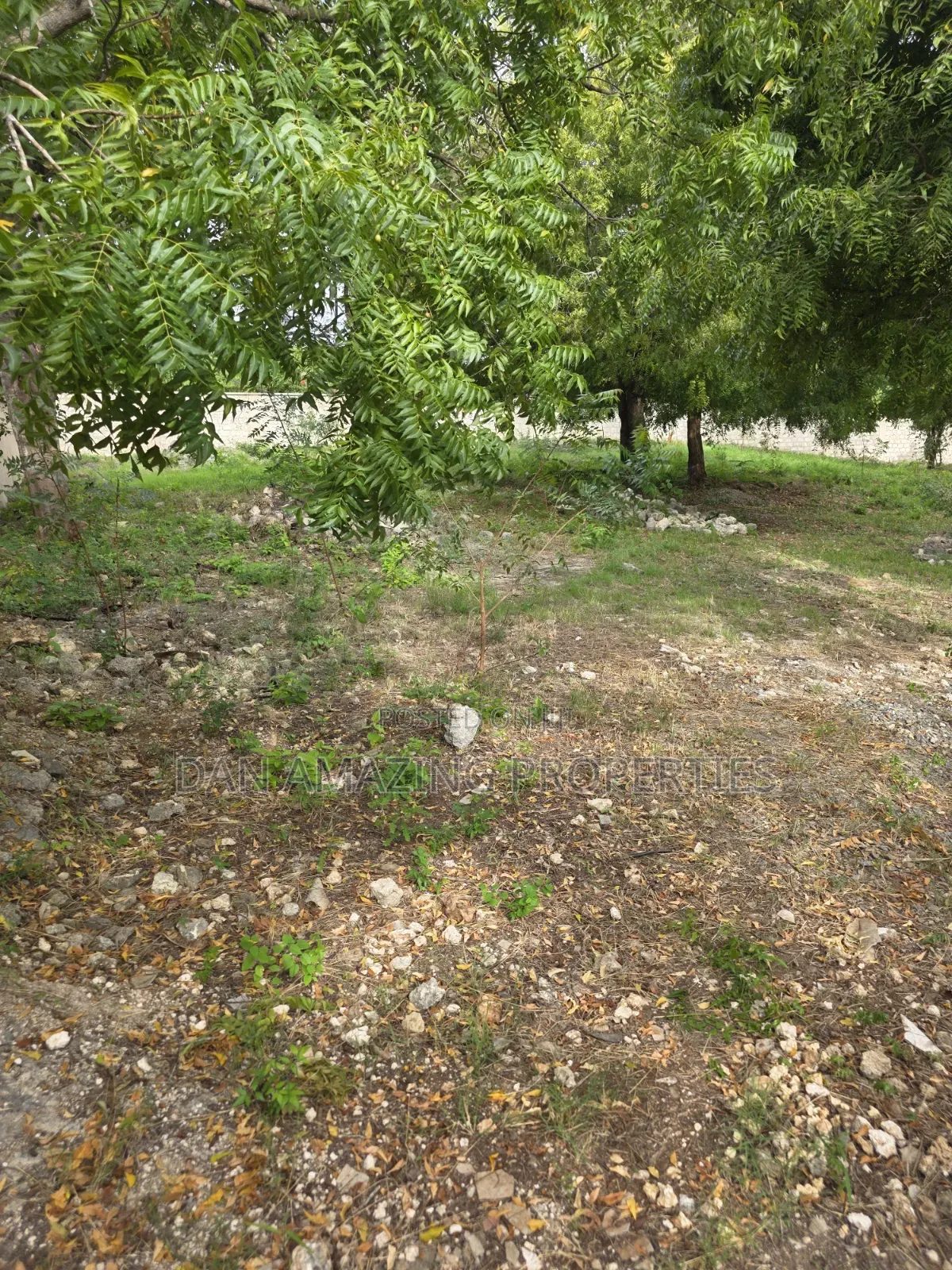 1/4 and 1/8 Plot Diani Chandarana for Sale Fully Fenced With Perimeter in Diani