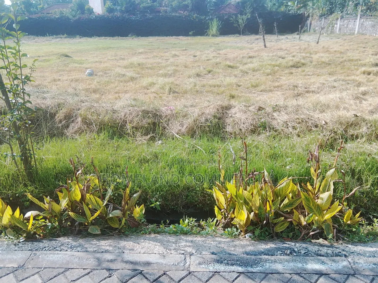 1/2 Acres for Sale in Karen Tree Lane. in Karen C