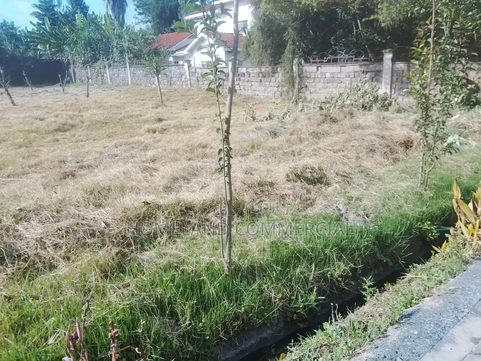 1/2 Acres for Sale in Karen Tree Lane. in Karen C