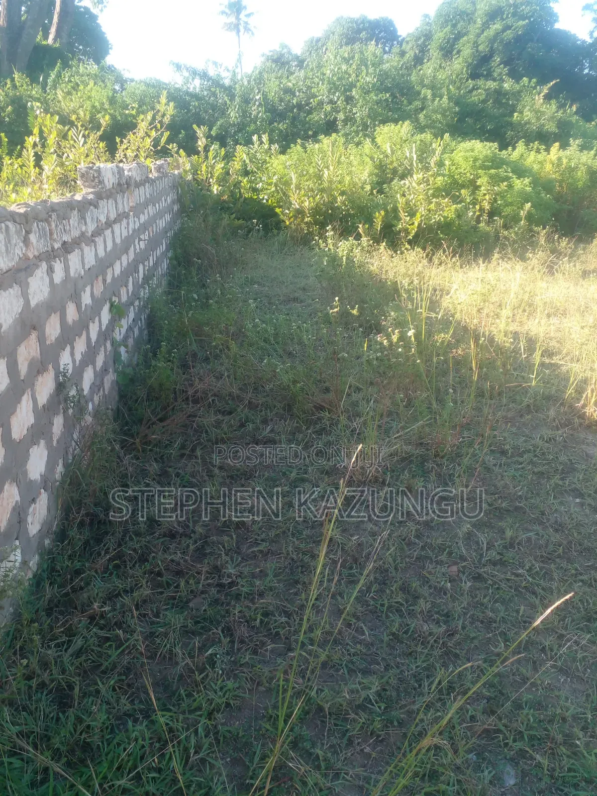 1/4 Acre Plot on Sale at Kombani on the Way to Kwale Road Side in Ukunda