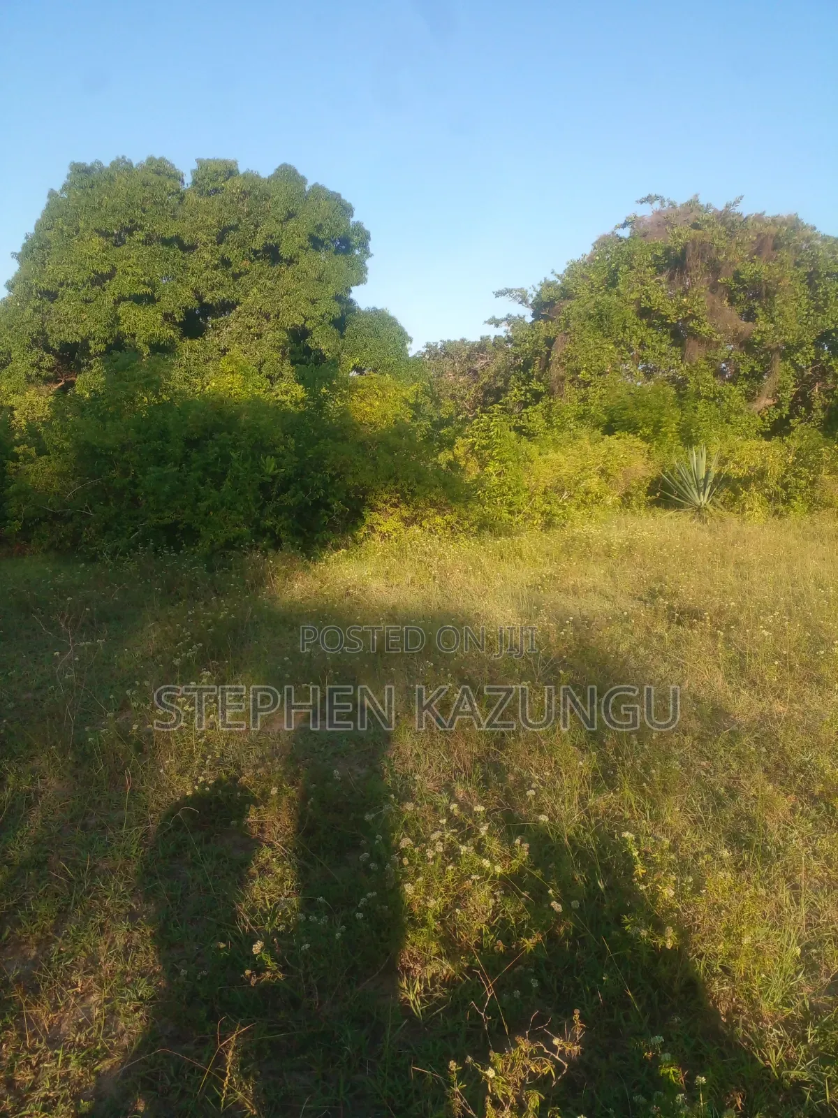 1/4 Acre Plot on Sale at Kombani on the Way to Kwale Road Side in Ukunda