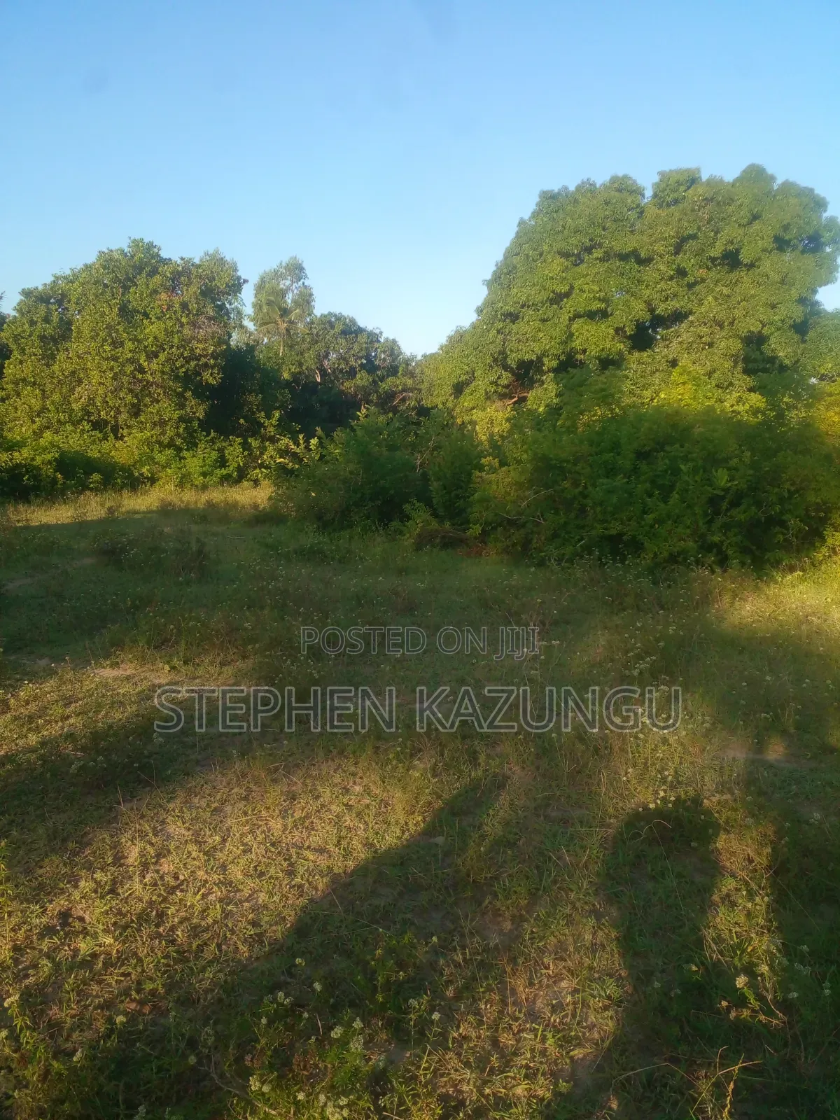 1/4 Acre Plot on Sale at Kombani on the Way to Kwale Road Side in Ukunda