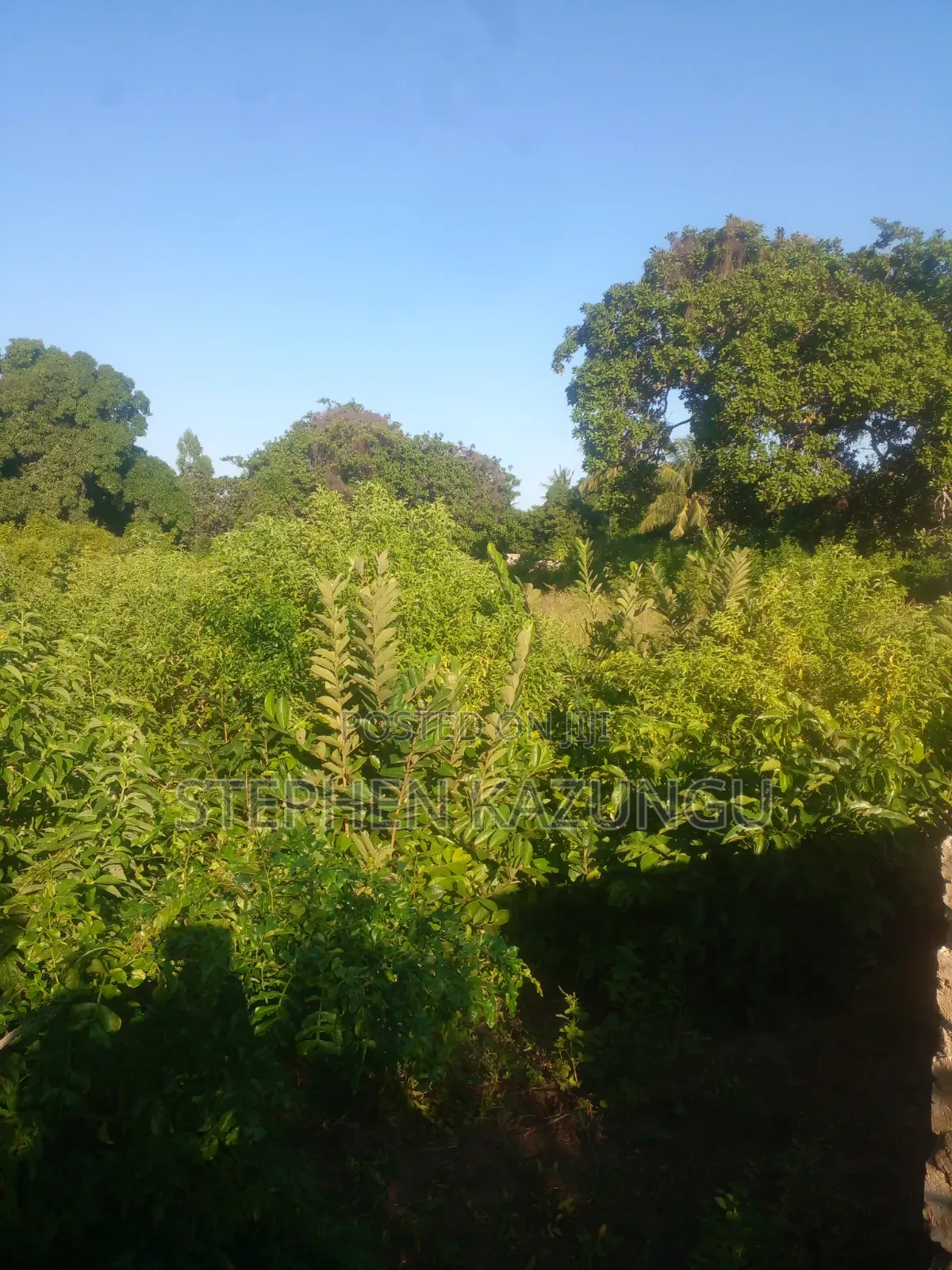 1/4 Acre Plot on Sale at Kombani on the Way to Kwale Road Side in Ukunda