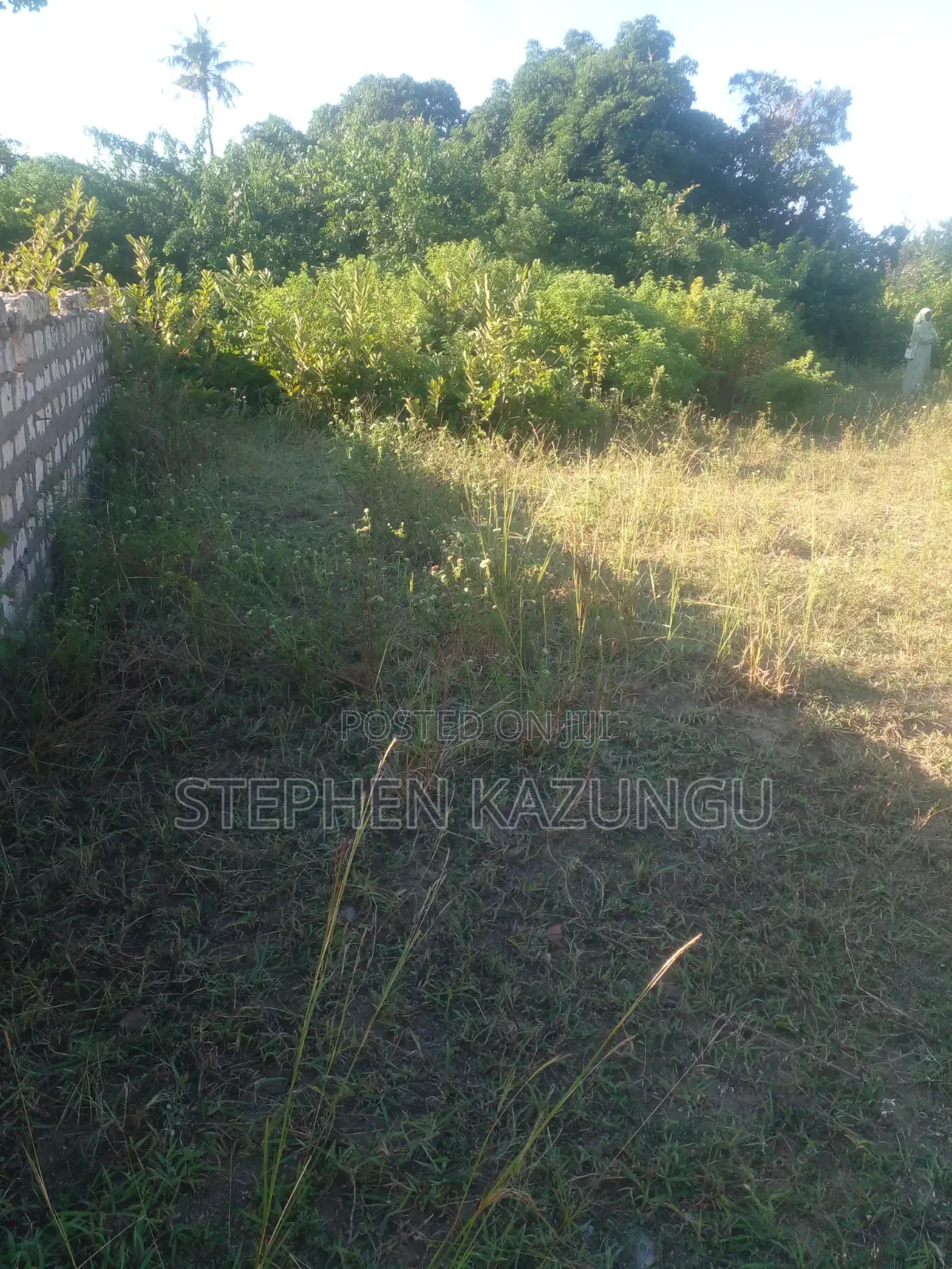 1/4 Acre Plot on Sale at Kombani on the Way to Kwale Road Side in Ukunda