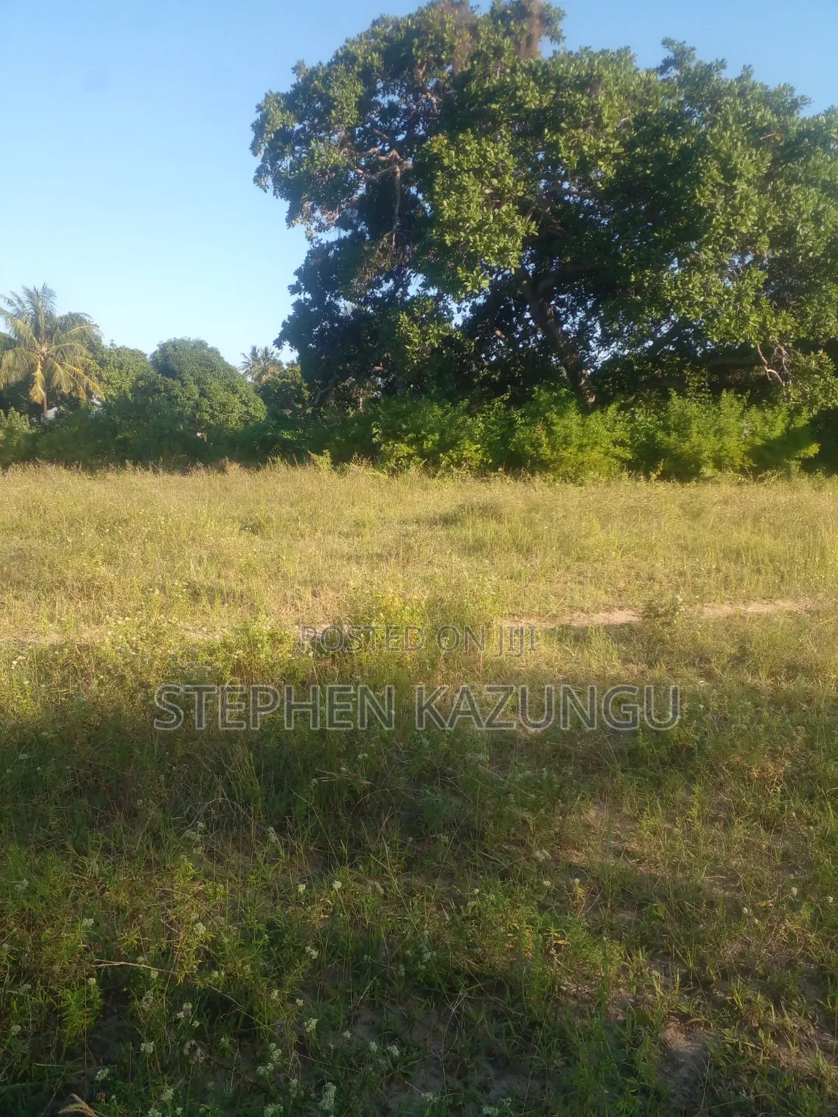 1/4 Acre Plot on Sale at Kombani on the Way to Kwale Road Side in Ukunda
