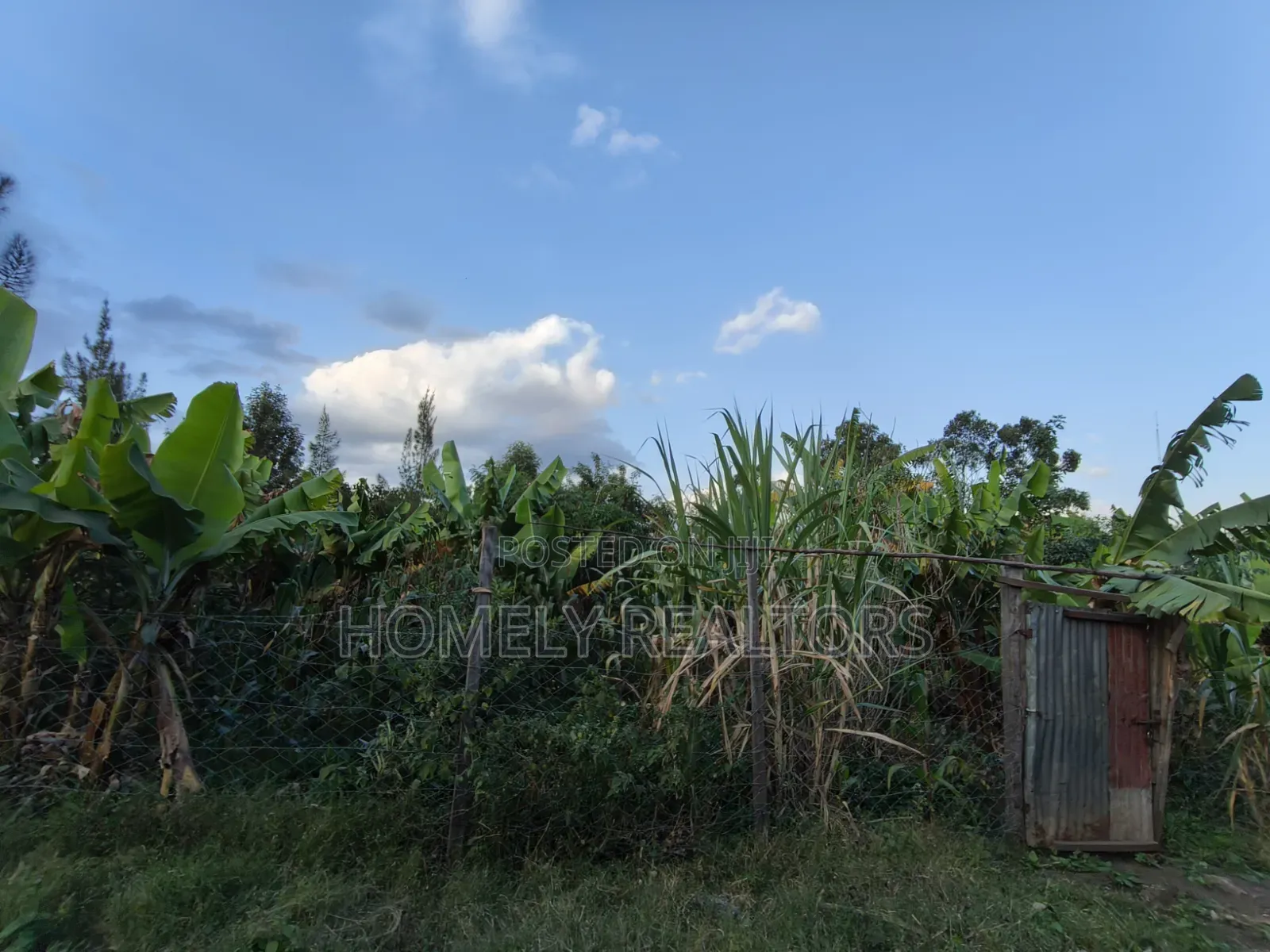Residential Quarter Acre Plot for Sale in Ngong, Olkeri in Olkeri