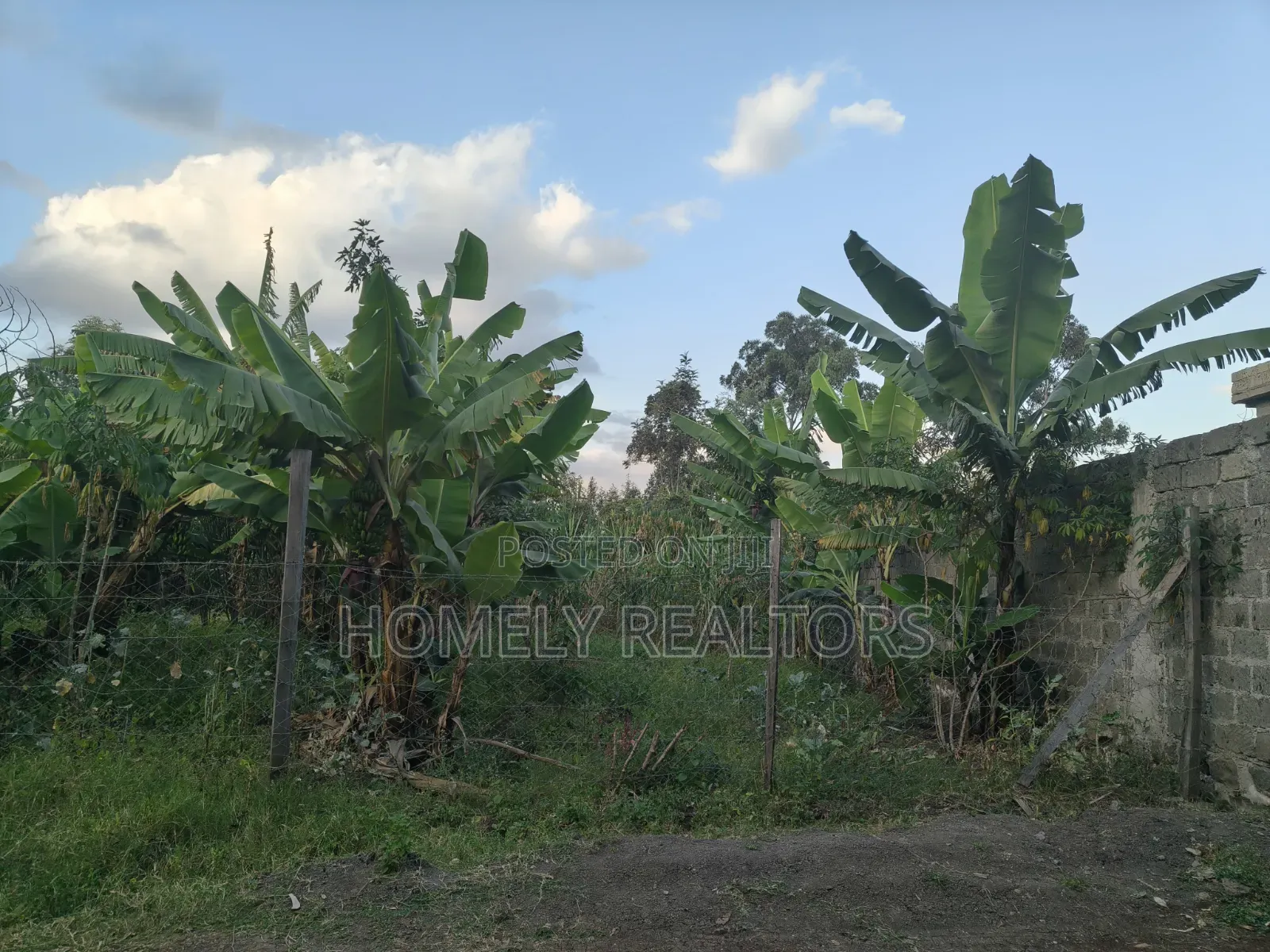 Residential Quarter Acre Plot for Sale in Ngong, Olkeri in Olkeri