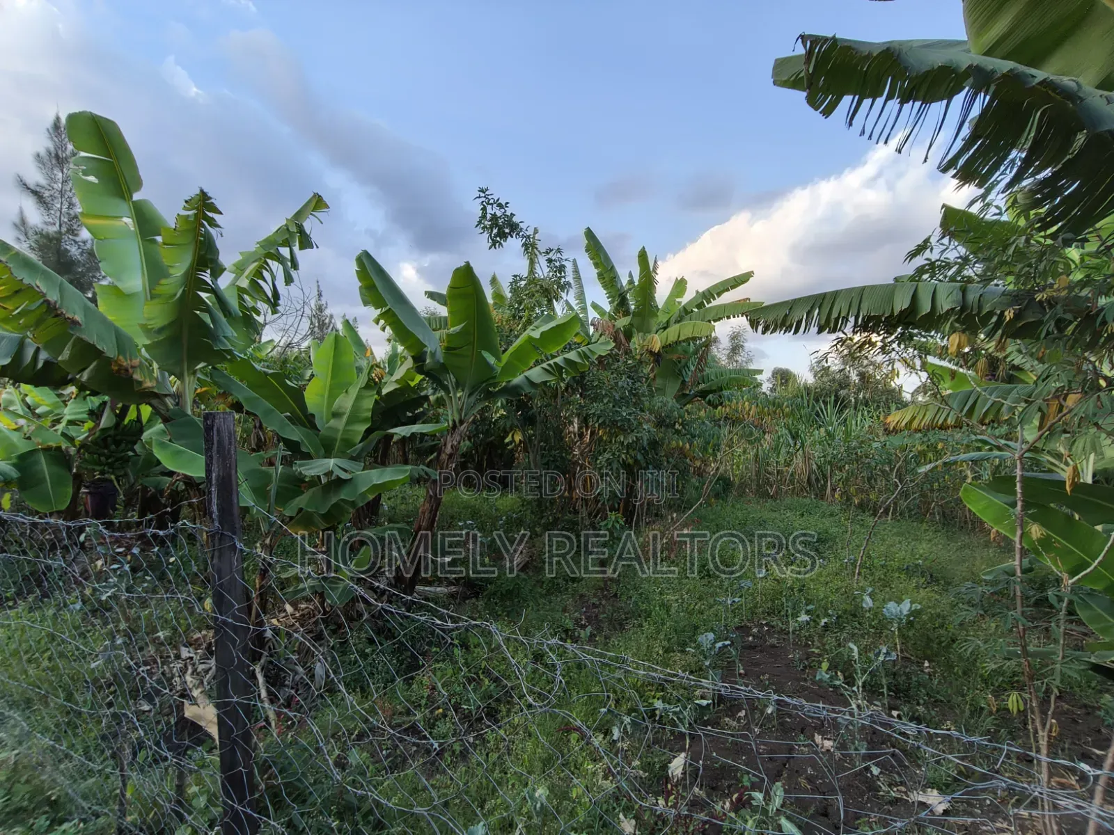Residential Quarter Acre Plot for Sale in Ngong, Olkeri in Olkeri