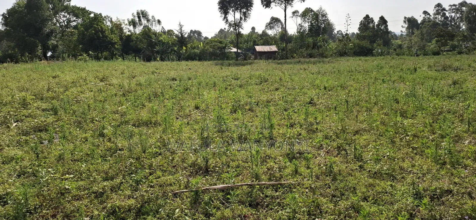 100 by 100 Webuye Munyikana in Webuye