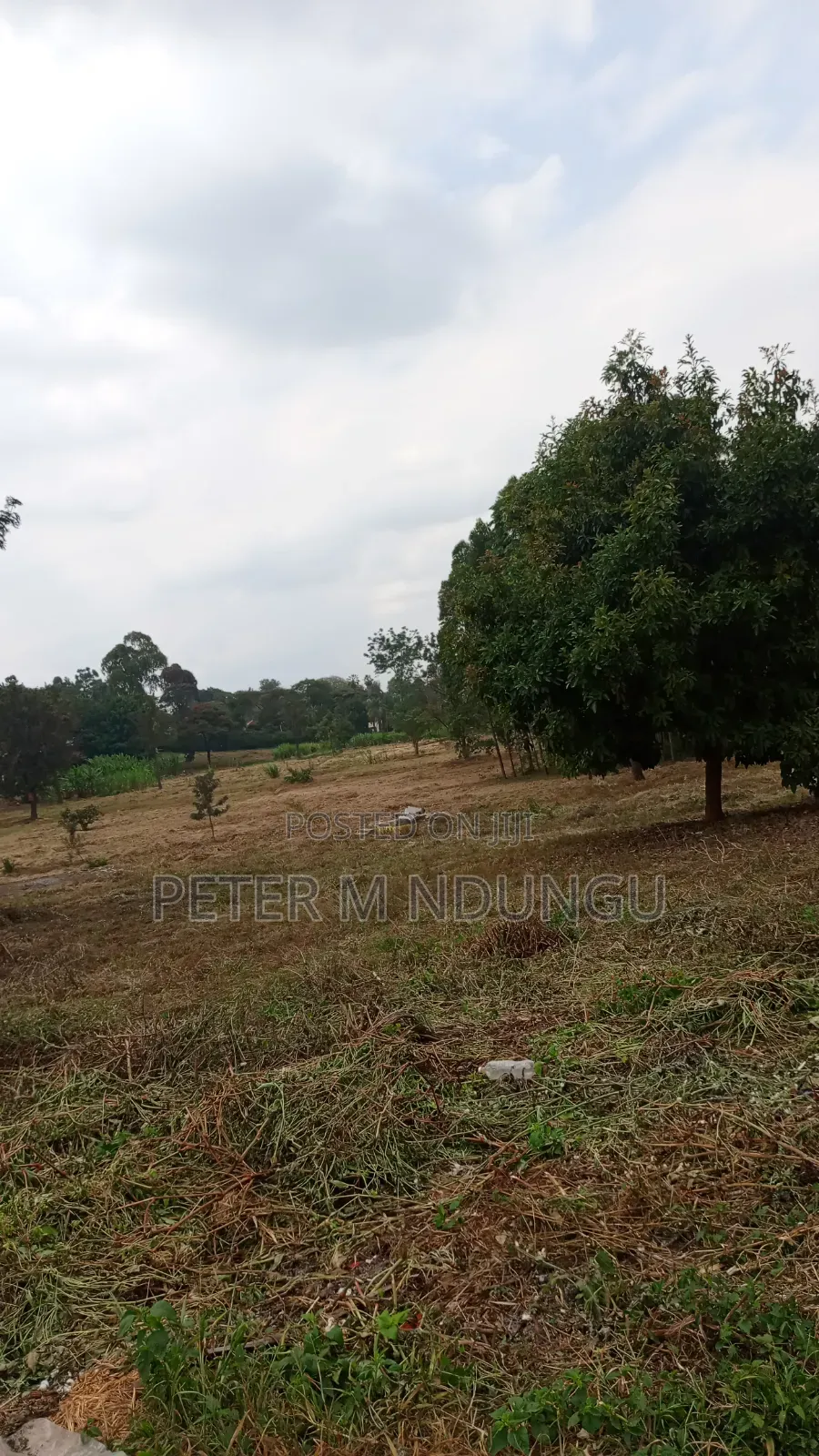 Ridgeways- Kiambu Road; Prime Commercial 2 Acres , Tiitle in Kiambu / Kiambu 