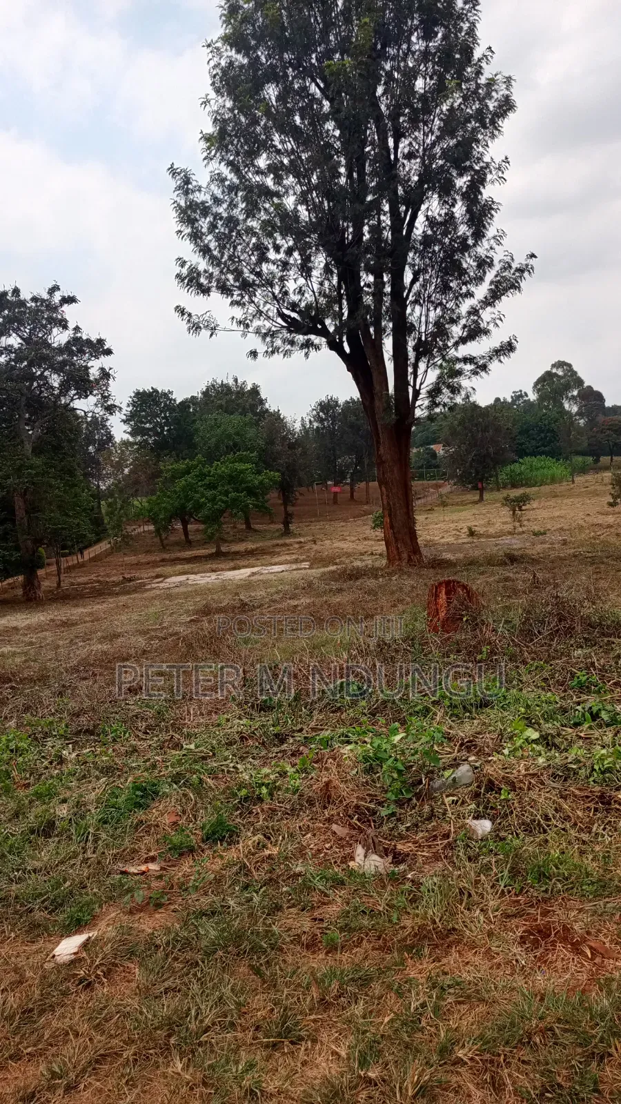 Ridgeways- Kiambu Road; Prime Commercial 2 Acres , Tiitle in Kiambu / Kiambu 