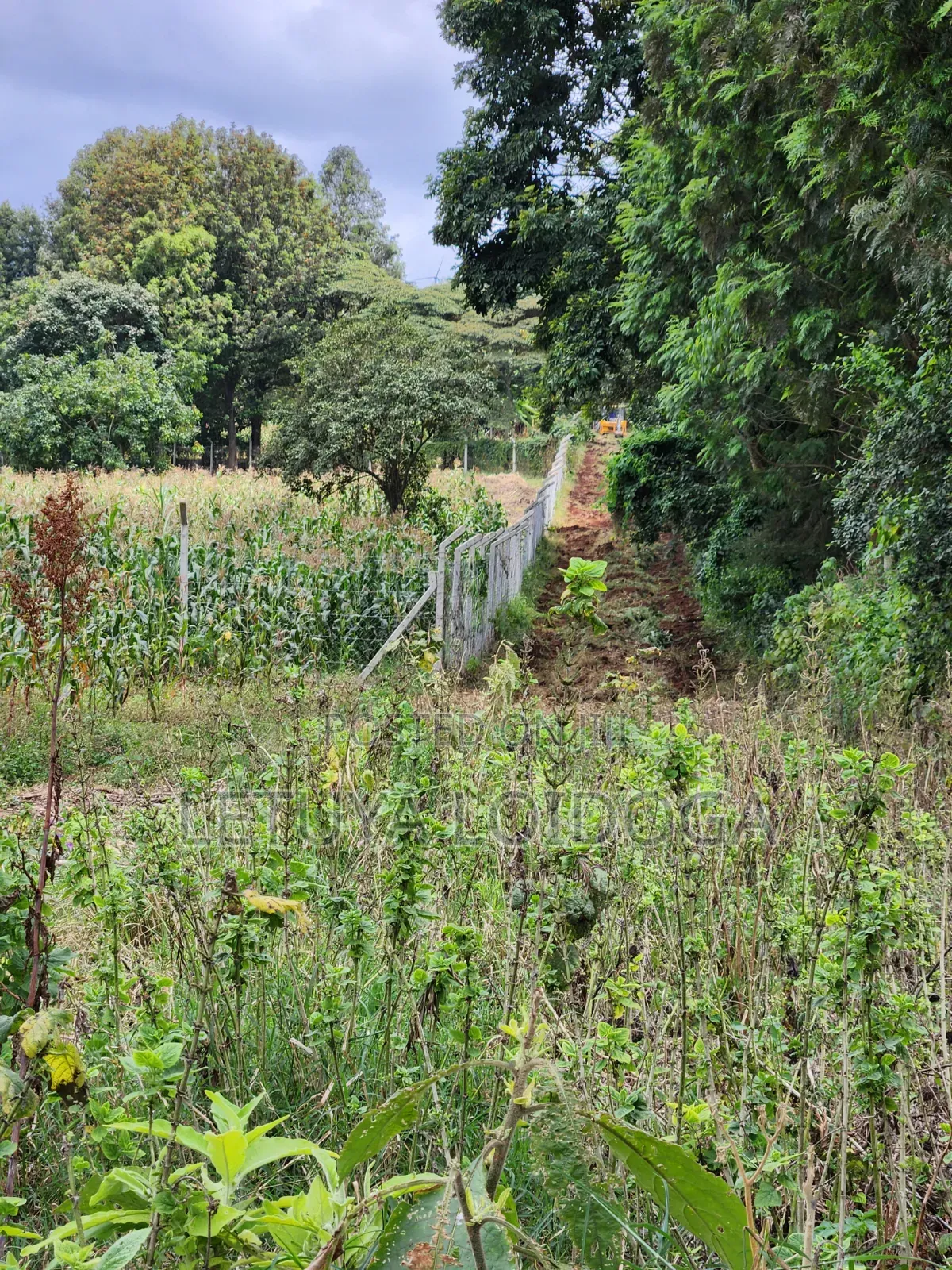 Prime Residential 1-Acre Kahara Road Ngong in Matasia