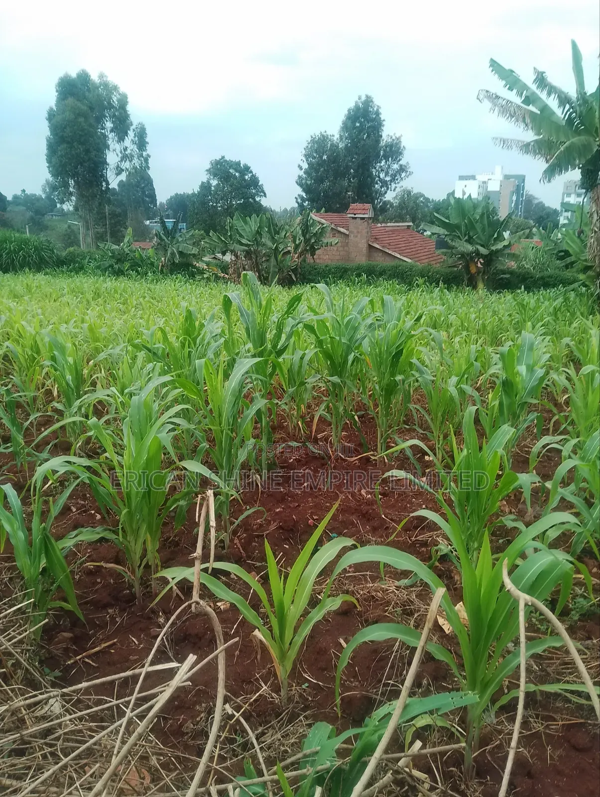 Lower Kabete 1/2 Land for Sale in Lower Kabete