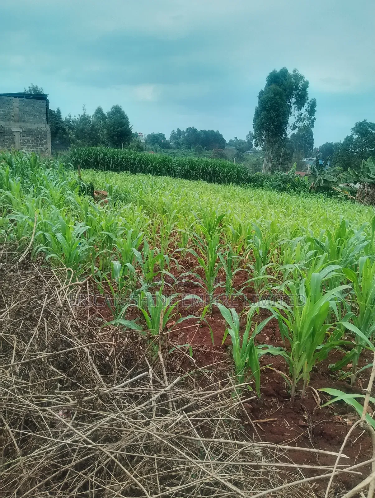 Lower Kabete 1/2 Land for Sale in Lower Kabete