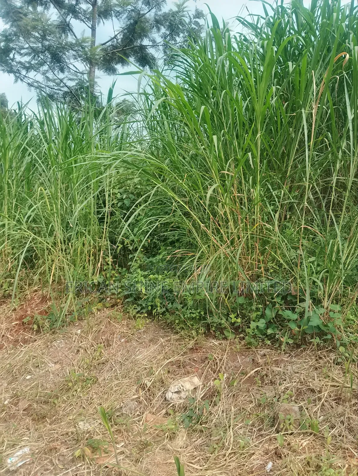 Lower Kabete 1/2 Land for Sale in Lower Kabete