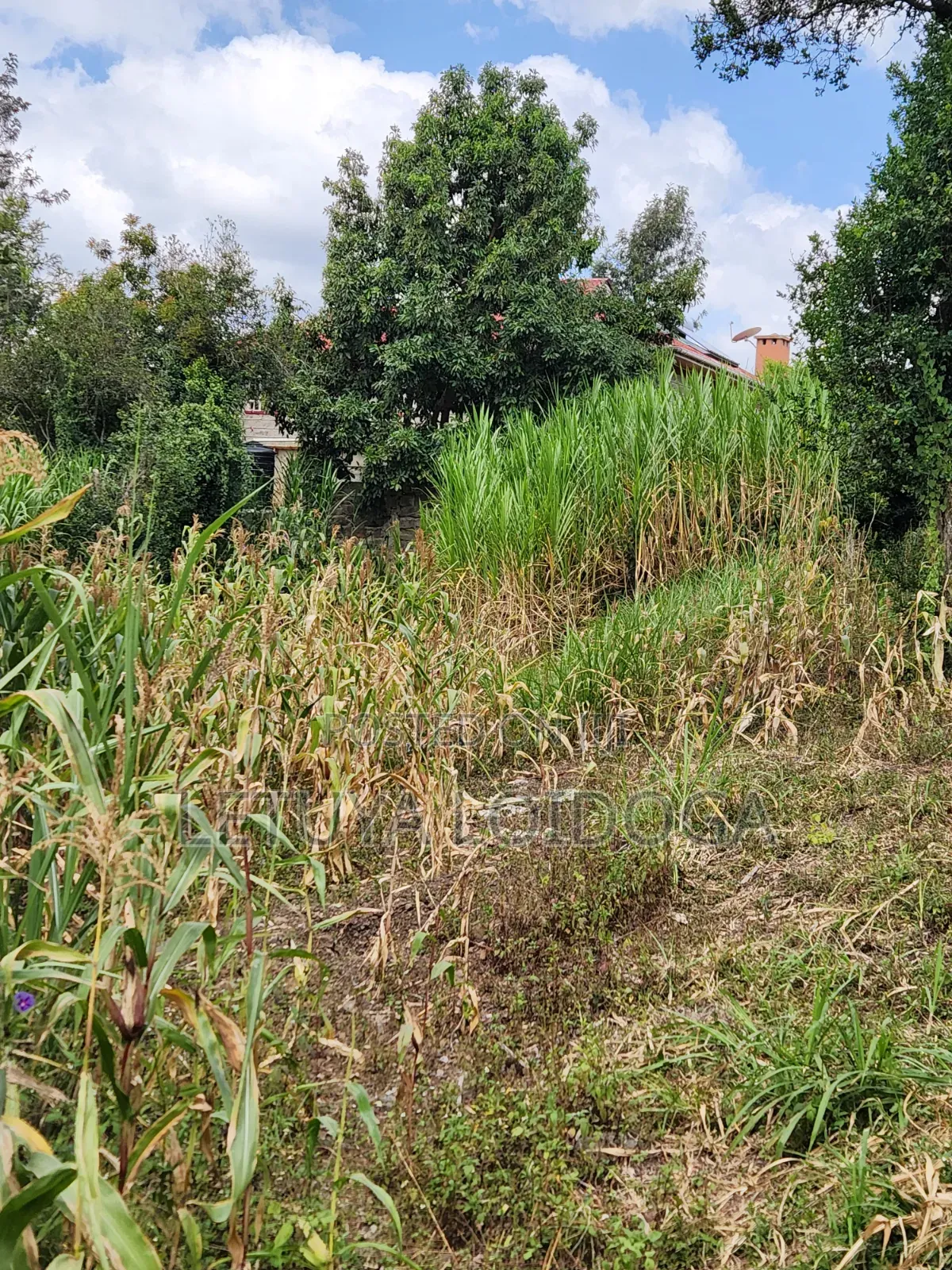 Distress Sale Ngong-Olepolos 1-Acre in Ole Polos