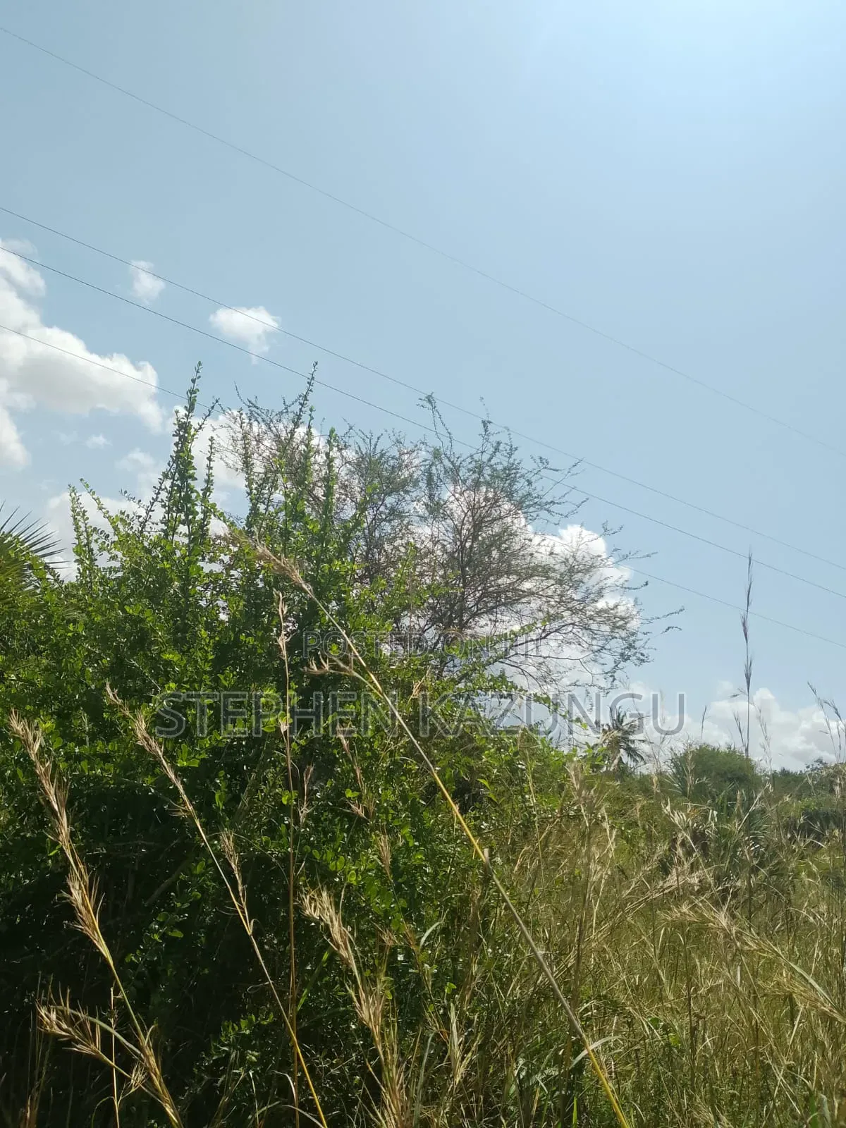 A Green-View 1 Acre Plot Near to Mwabungo Town. in Ukunda