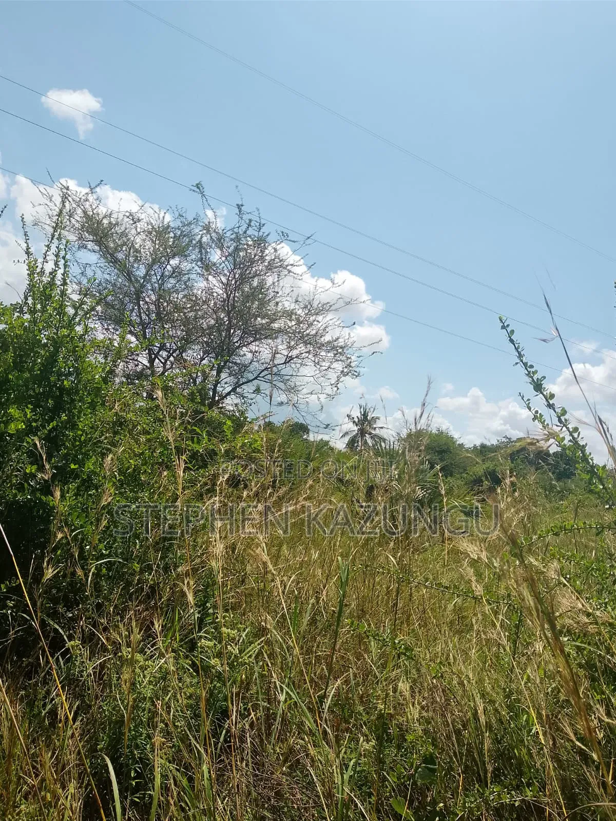A Green-View 1 Acre Plot Near to Mwabungo Town. in Ukunda