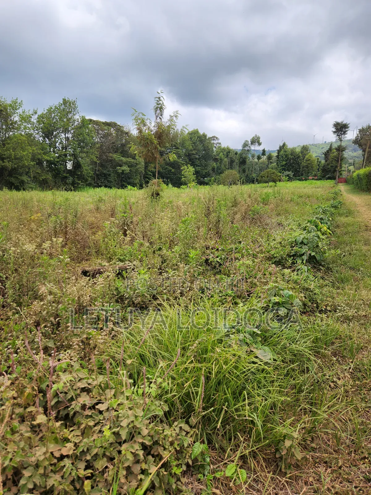 Prime Affordable 1⁄4acres Ngong Along Kahara Road in Ngong CBD